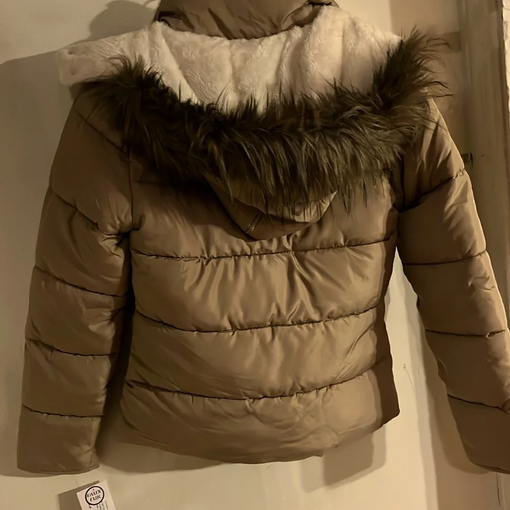 Winter Jacket - Picture 2 of 5